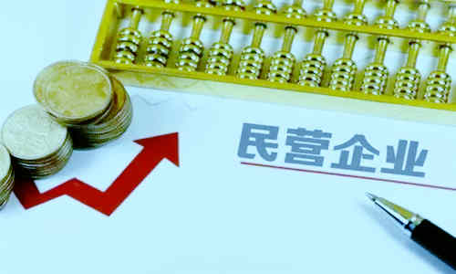 民营企业面临市场竞争压力怎么解决