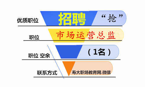 寿大企学官方网招聘运营总监