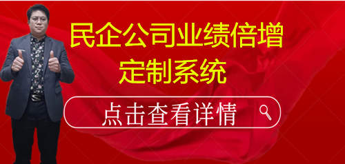 2025年专解民企公司业绩倍增方案定制