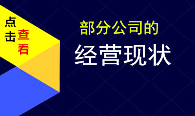 部分民企公司经营现状