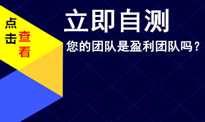 公司是否拥有盈利团队自测