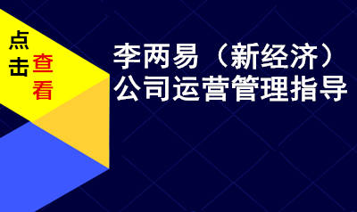 李两易新经济公司运营管理指导