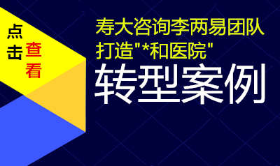 寿大咨询李两易团队打造