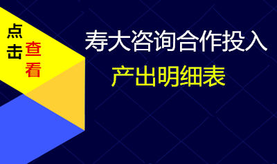 寿大咨询合作服务价格体系表