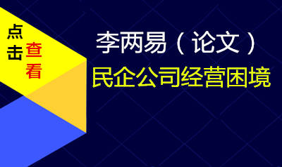 民企公司经营困境（论文）