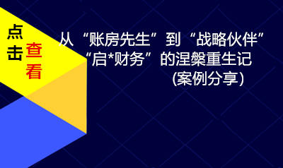 案例：从“账房先生”到“战略伙伴”——“某启财务”的涅槃重生记