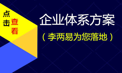 企业管理体系设计方案（李两易为您落地）