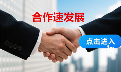 合作方式