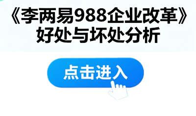 《李两易988企业改革》都有哪些好处与坏处